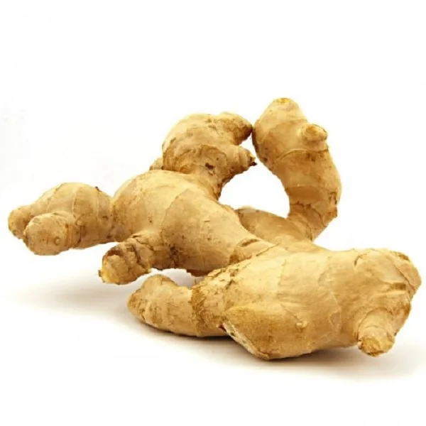 Brussels sprouts High Quality Wholesale High Quality Brussels Sprouts For Sale