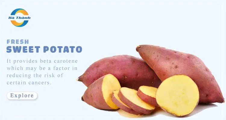 Оптовый продавец высококачественных деревенских картофельных изделий из Вьетнама номер один