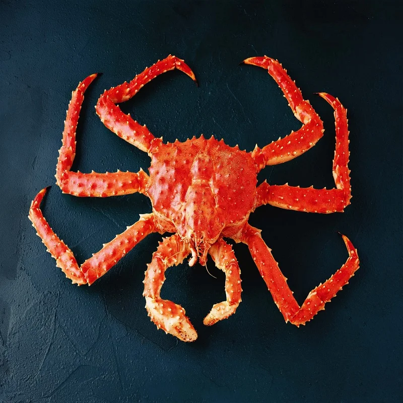 Hot Sale Of Fresh Deep Sea Crab Chilean Best Quality Baby King Crab Antarctica snow Crab At Cheap Price
