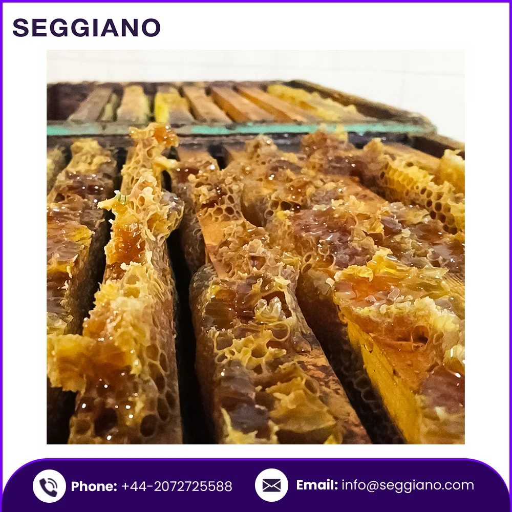 Wholesale 100% Pure Seggiano Sicilian Orange Blossom Raw Honey 500g