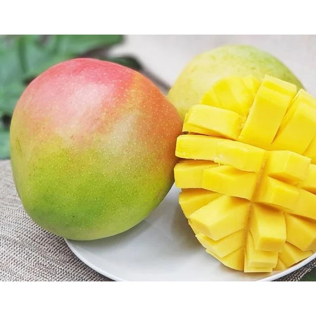 High quality 100% natural Mango /Top Quality Wholesale