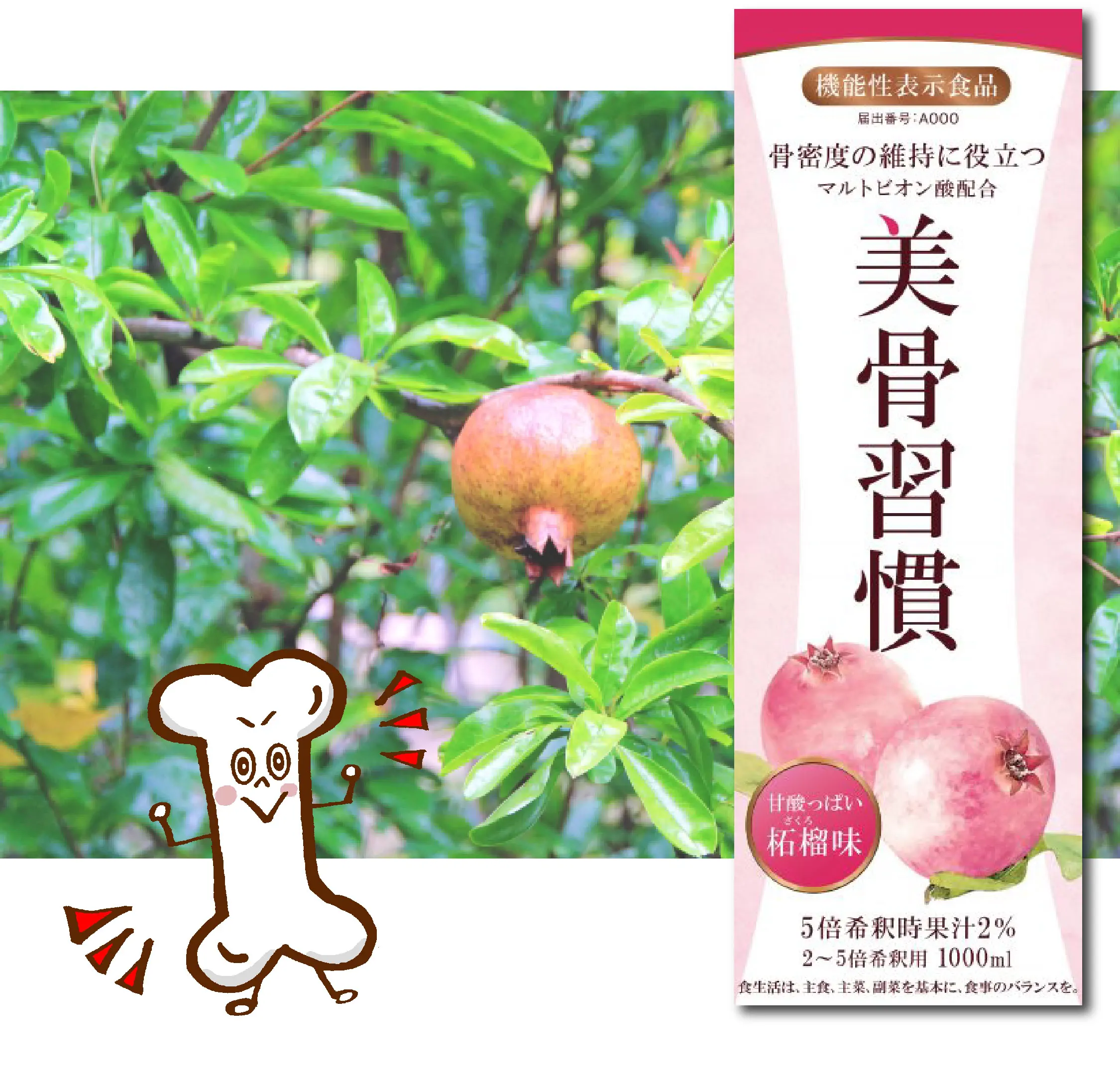 Pomegranate drink dietary supplements drink improved bone density Japan made