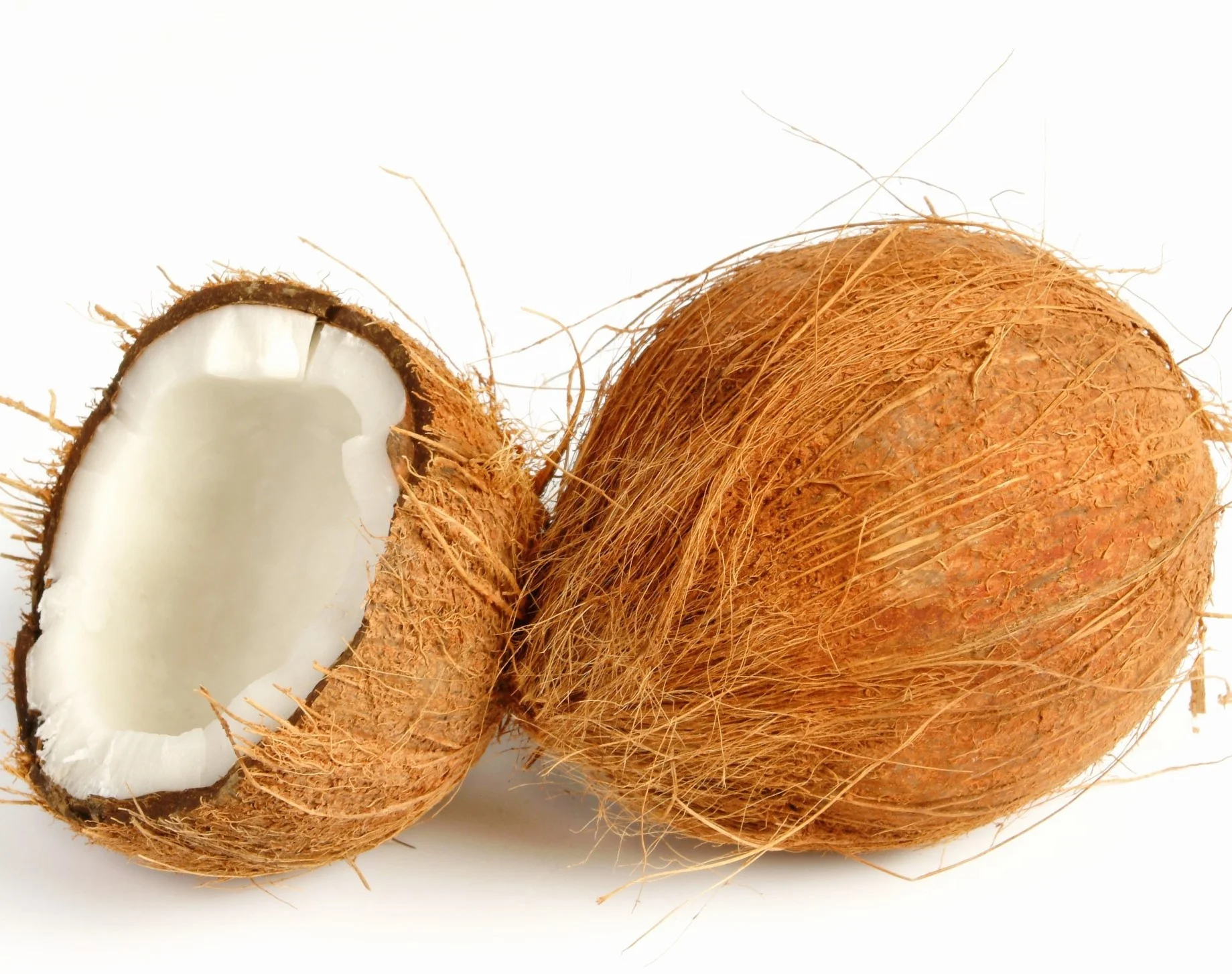 
15 oz.Canned Coconut Milk 8-10 % 