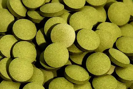 Moringa powder Tablet bulk Suppliers --- Whatsapp +91 9619091811