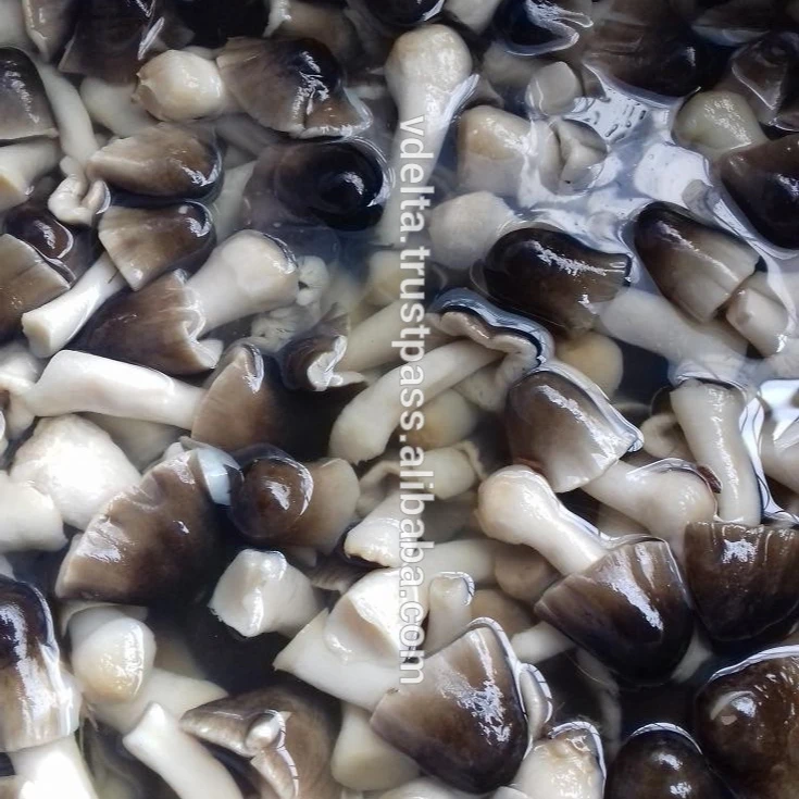 Высококачественный соленый соломенный гриб из Вьетнама/Персонаж + 84 904 183 651