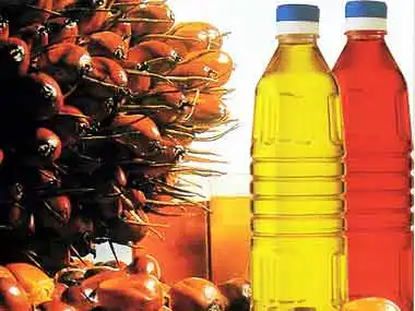 
Grade A Crude Palm oil hydrogenated ISO 