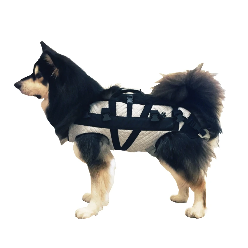 Pet Dog Walk Assist Auxiliary Belt