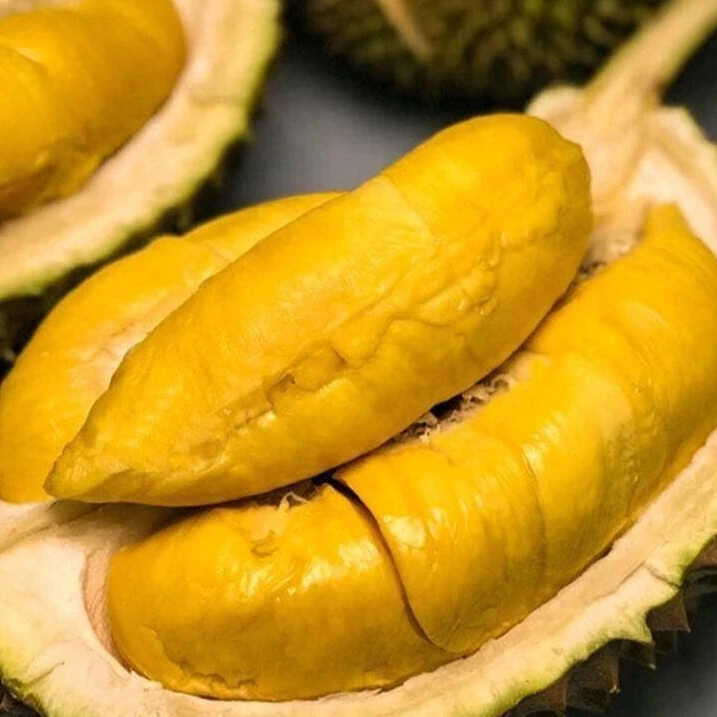FRESH FRUIT DURIAN HIGH QUALITY NEW CROP