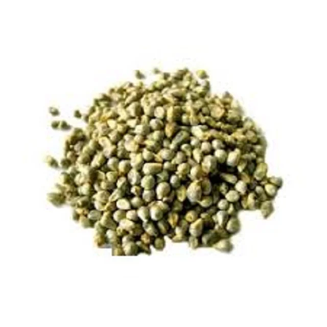 Natural Raw Animal Feeds Green Millet millet Bajra India Origin