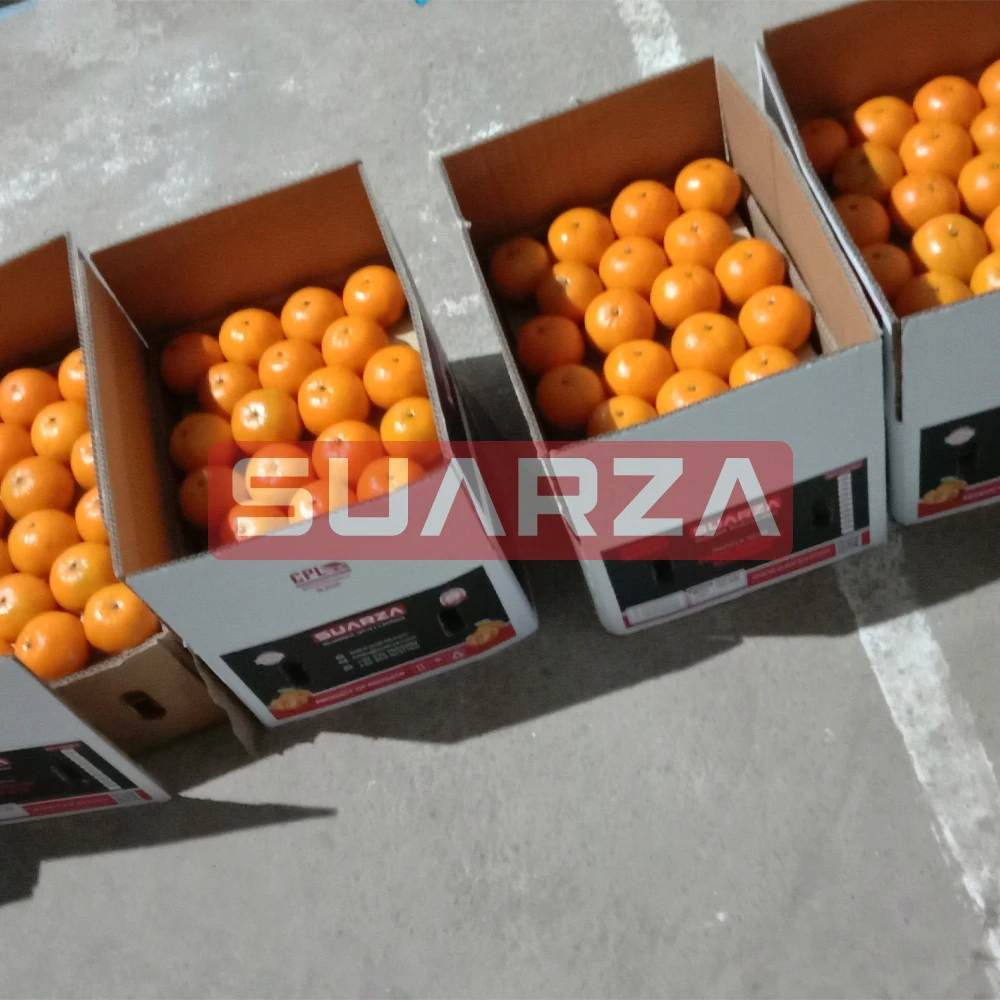 Certified Fresh Orange exporter In Pakistan