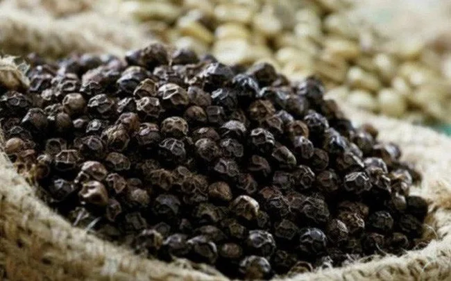 [Autumn Season] Single Spices Best Price High Grade Quality Black Pepper From Vietnam