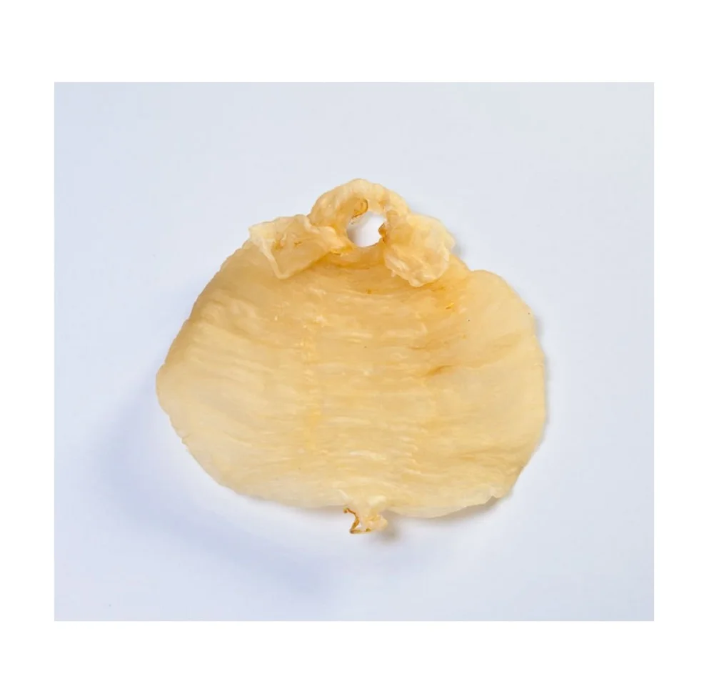 The Best Premium Quality of Dry Dried Fish Maw the delicious seafood  from Thailand