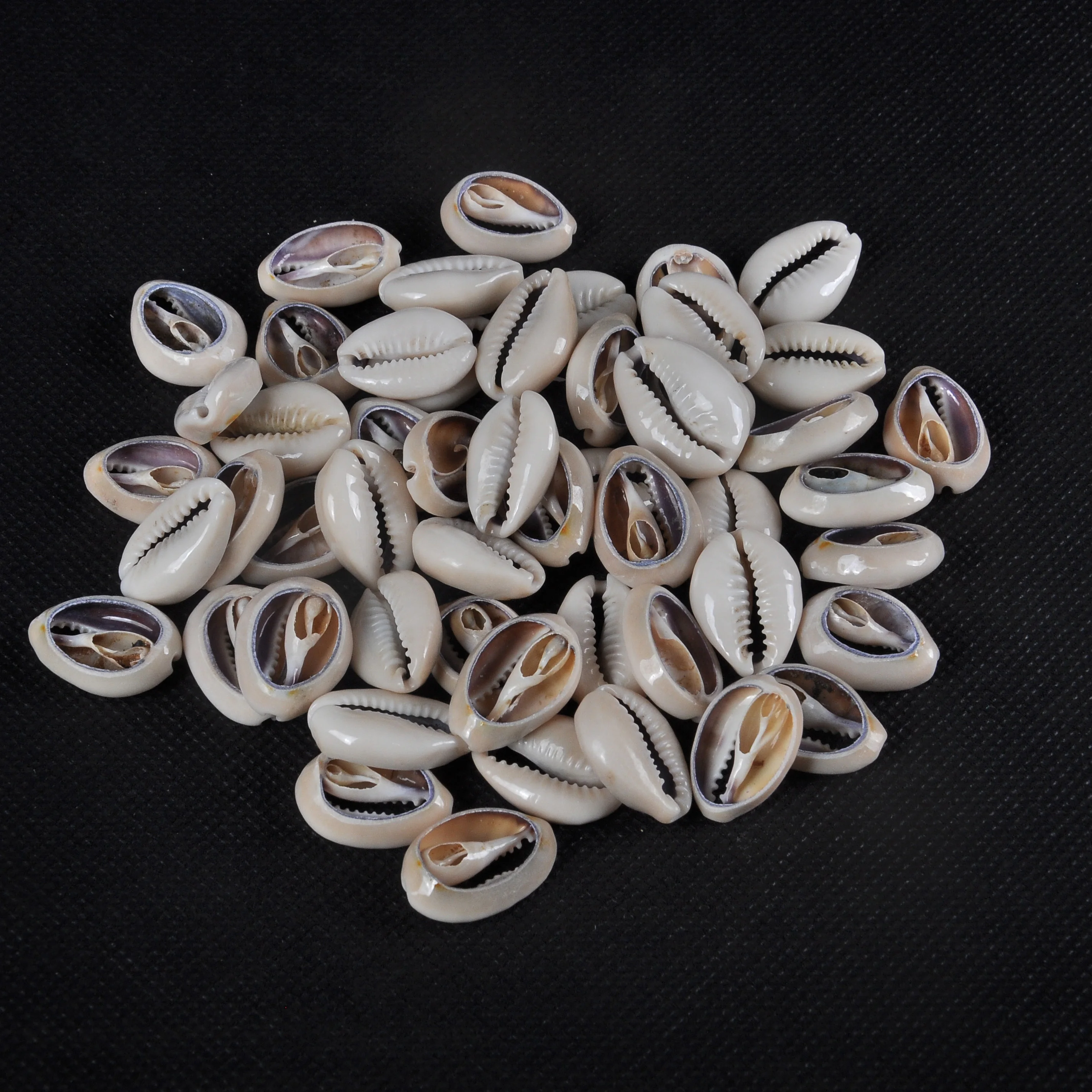  Натуральная морская раковина «сделай сам» используется для украшения дома