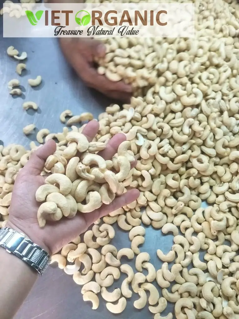 Vietnam supplier Export cashew nuts roasted dried raw cashew snack box cashew nut w320 at cheap price