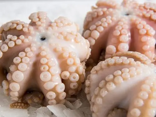 Frozen Octopus Baby Octopus Fresh Seafood