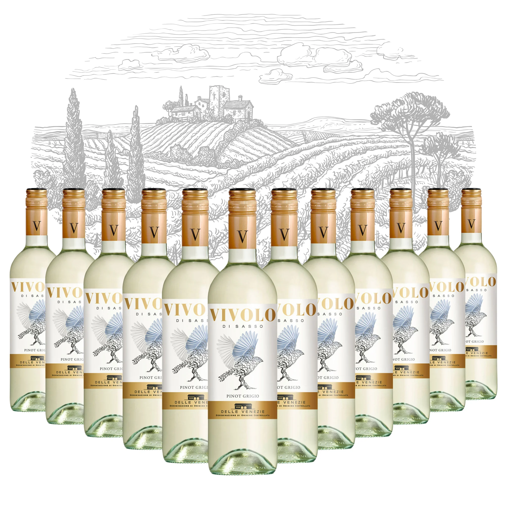 Premium Made in Italy White Wine - Pinot Gris Delle Venezie DOC - Alcohol 12% White Table Wine bottles 750 ml for export