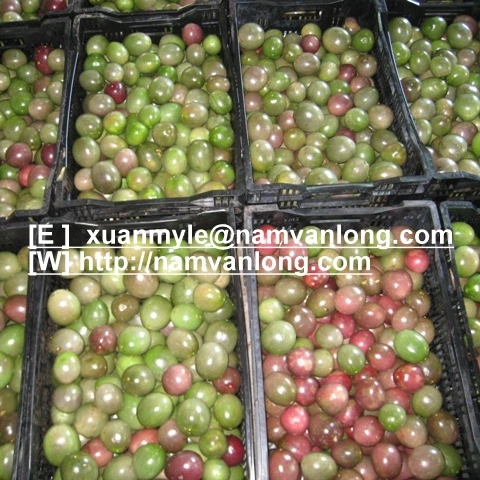 FRESH PASSION FRUIT high quality from Vietnam | BIG SALE 15% OFF | HOT DEAL 2023 | WHOLESALE VIETNAM