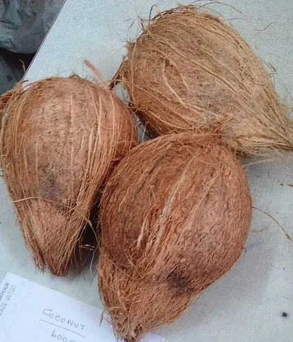 Semi Husk Coconut Premium export quality