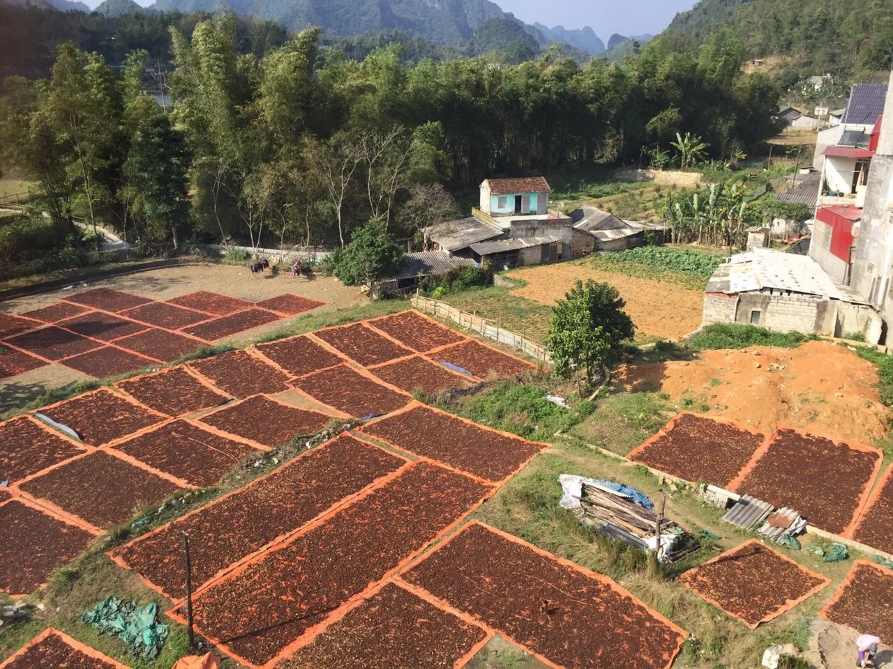 Quality trusted by many people using Star Anise China Spices and Herbs