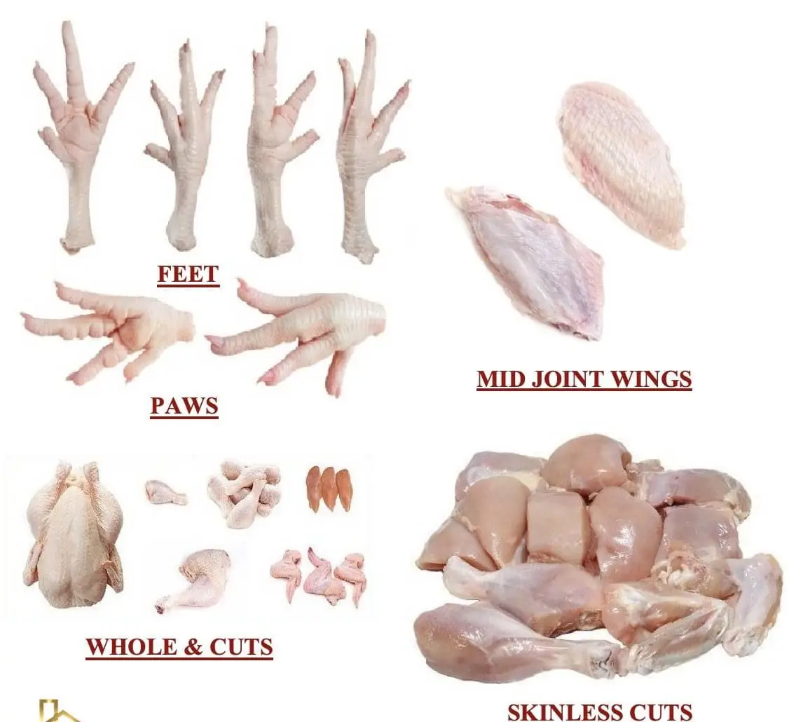 Frozen Whole Halal Chicken For China Market