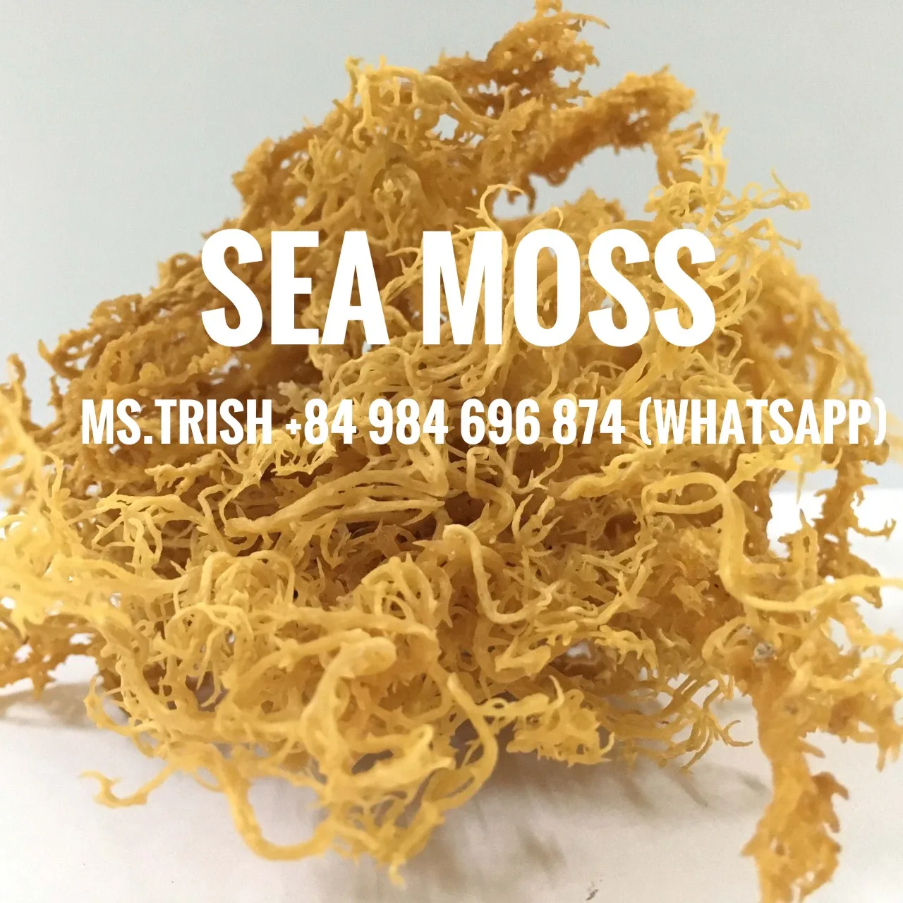 e08d2541d88b2ad5739a - Copy.jpg