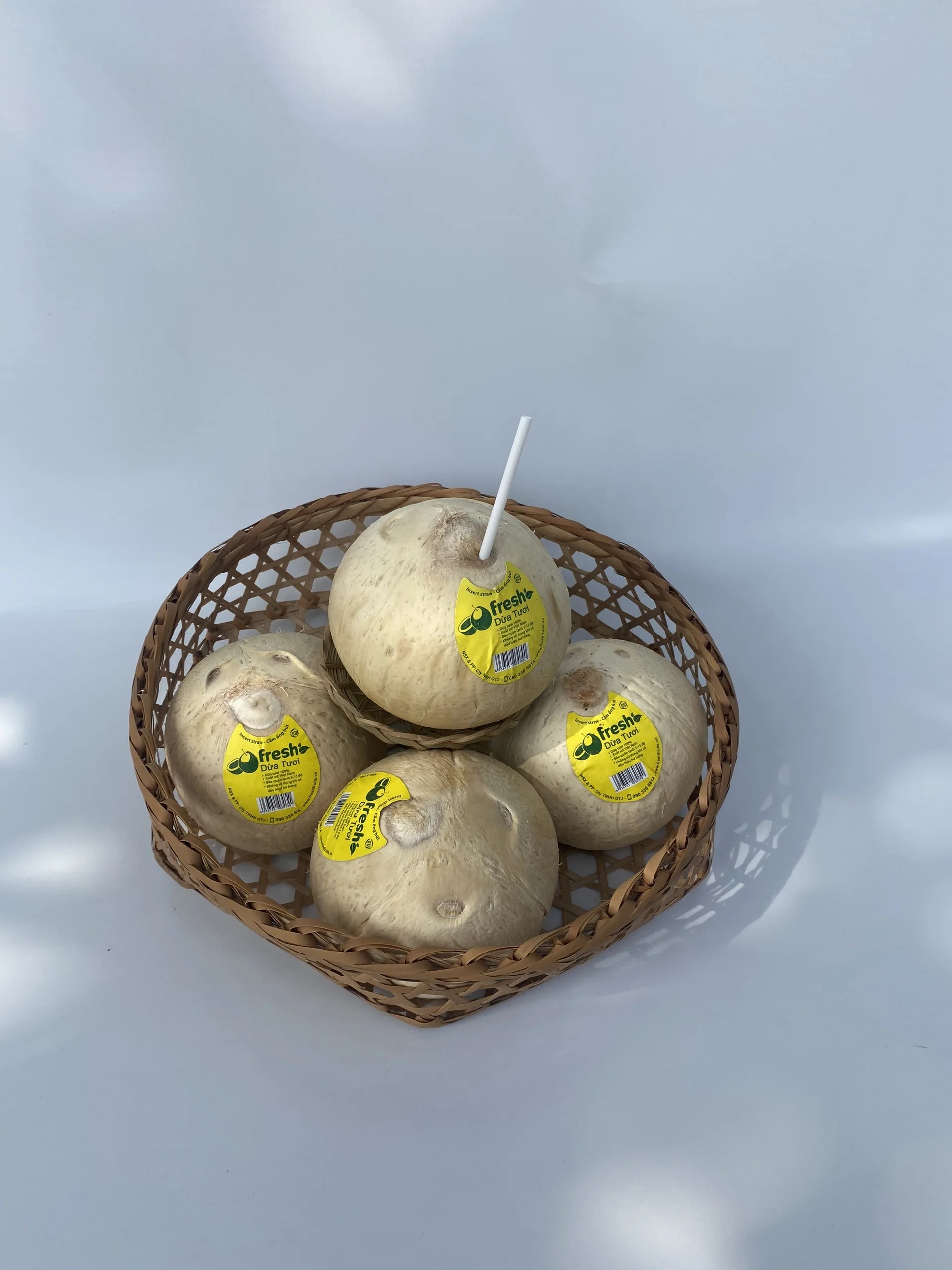 100% fresh coconuts Mekong Delta  Four Weeks Shell Life  Young Coconut Fresh Convenient Coconut from Vietnam