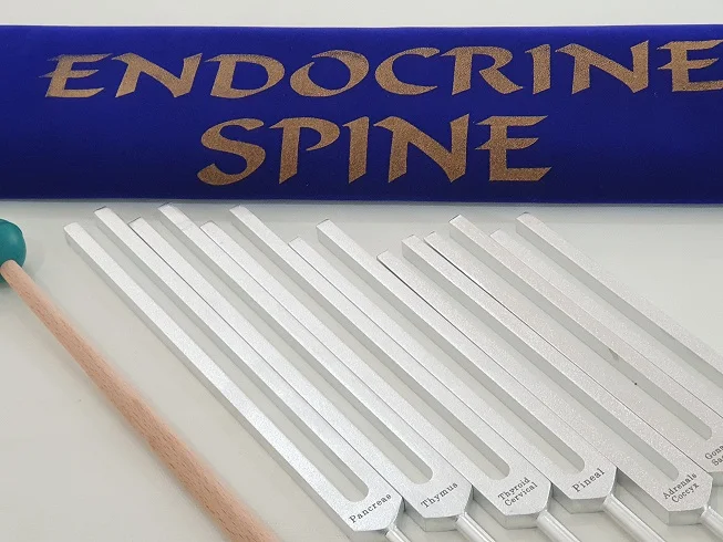 Latest Design Medical Tuning Fork For Healing