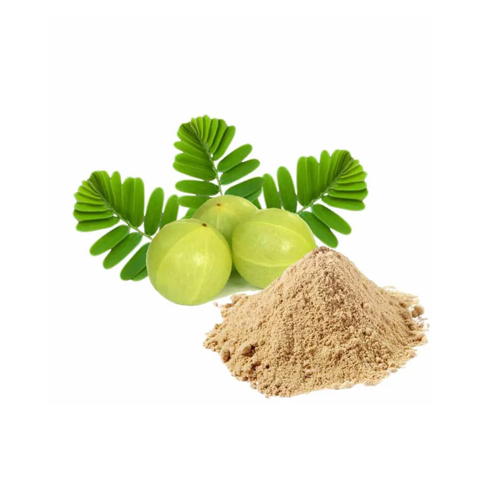 100% Organic Phyllanthus Emblica 100% Pure Indian Gooseberry Herbal  Powder Supplier