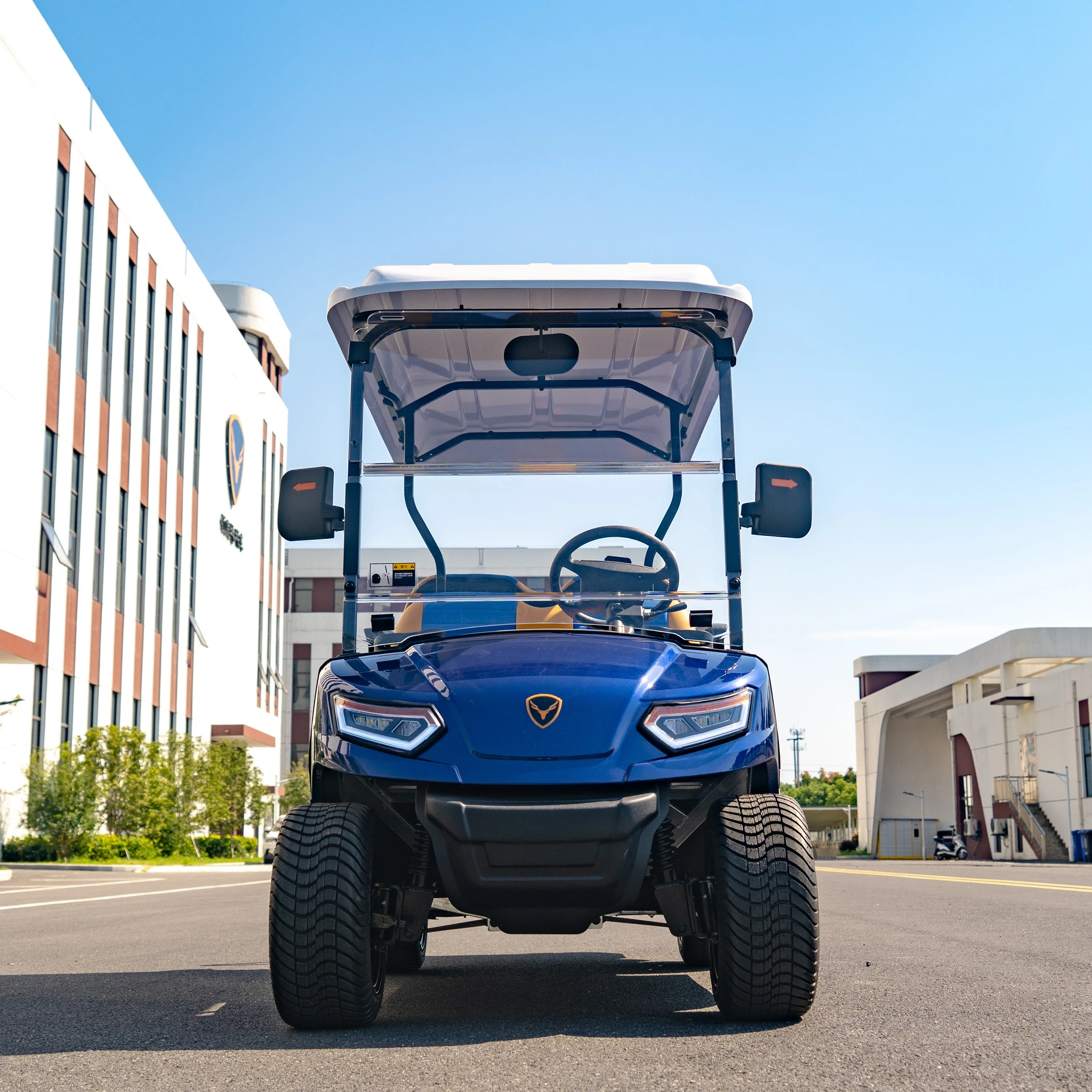 leroad colour optional have sun top and caddie  2 seats lifted electric golf cart high quality