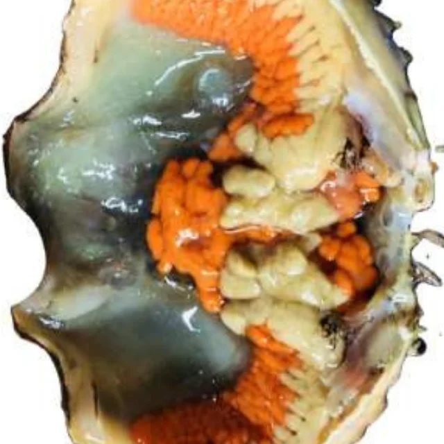 
fresh frozen black crab in bulk for sale 