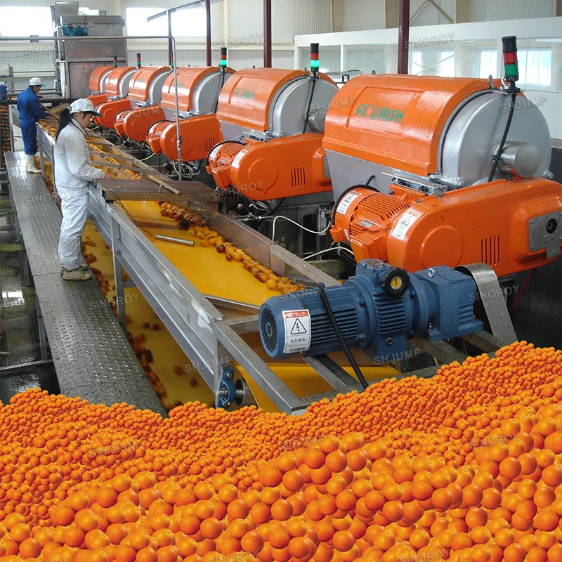 1000Tons Diversity fruit production lines machines for apricot paste, citrus grape NFC juice, avocado puree jam sauce ketchup