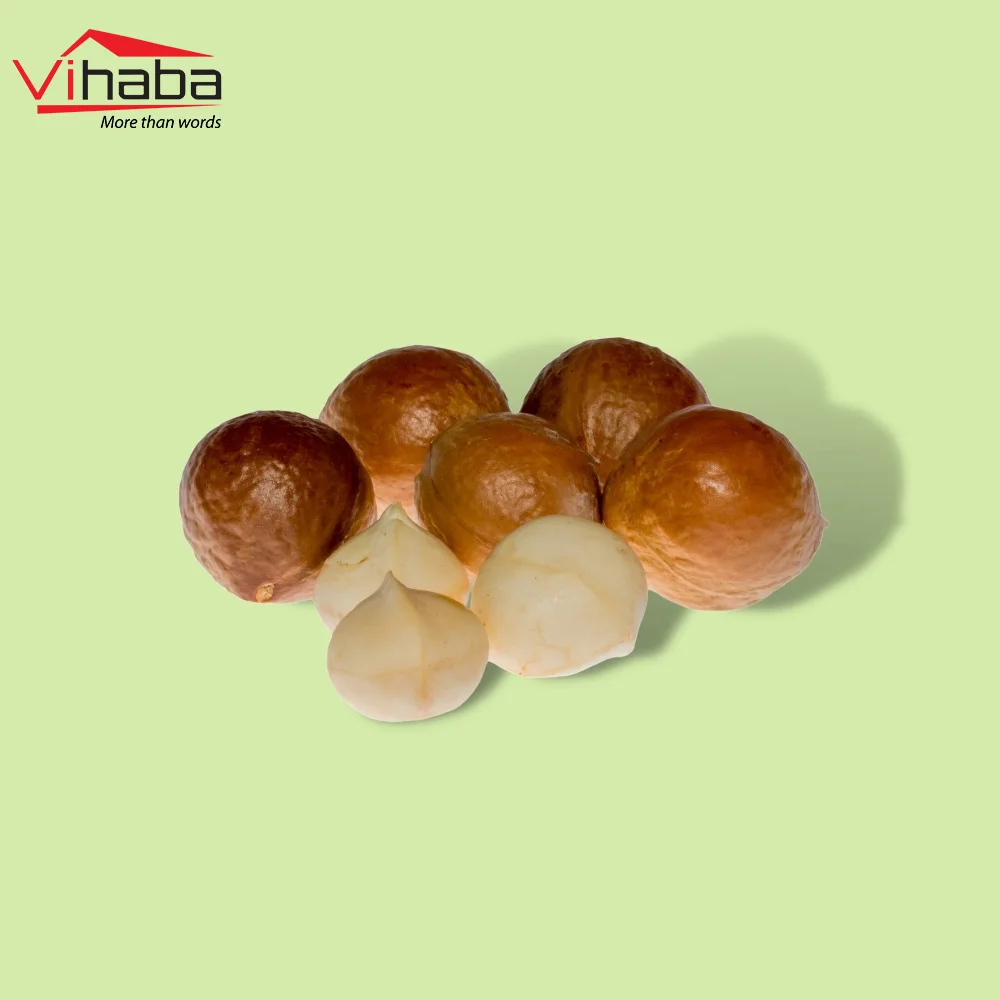 Сельскохозяйственные орехи macca смешанные макадамии необработанные закуски цены на