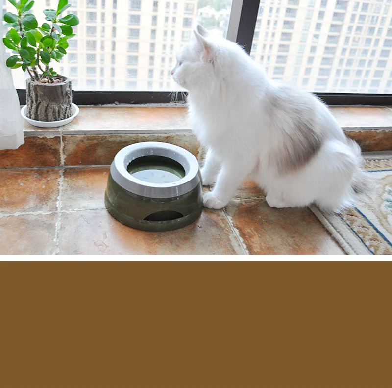 Private Label 2021 New Arrival Raised Eco Plastic Travel Pet Elevated Feeding Bowls