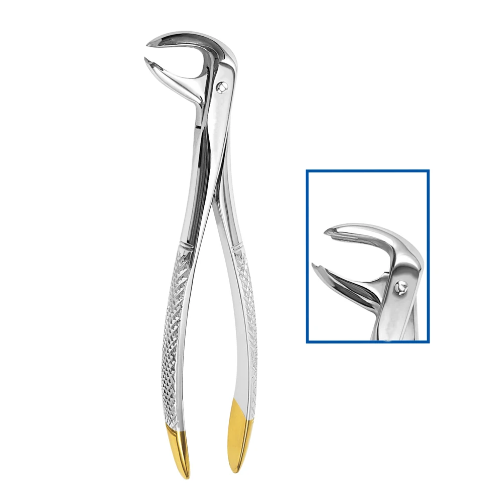 Veterinary Teeth Forceps High Quality Tooth Rasps Tooth Rasp For Animals Applicator Tooth Cutter Extracting Forceps Dental