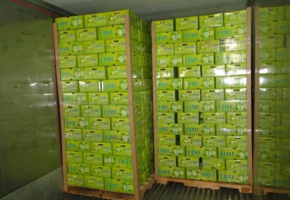 VIETNAM FRESH SEEDLESS LIME GREAT QUALITY WHATSAPP WECHAT VIBER 0084326572671