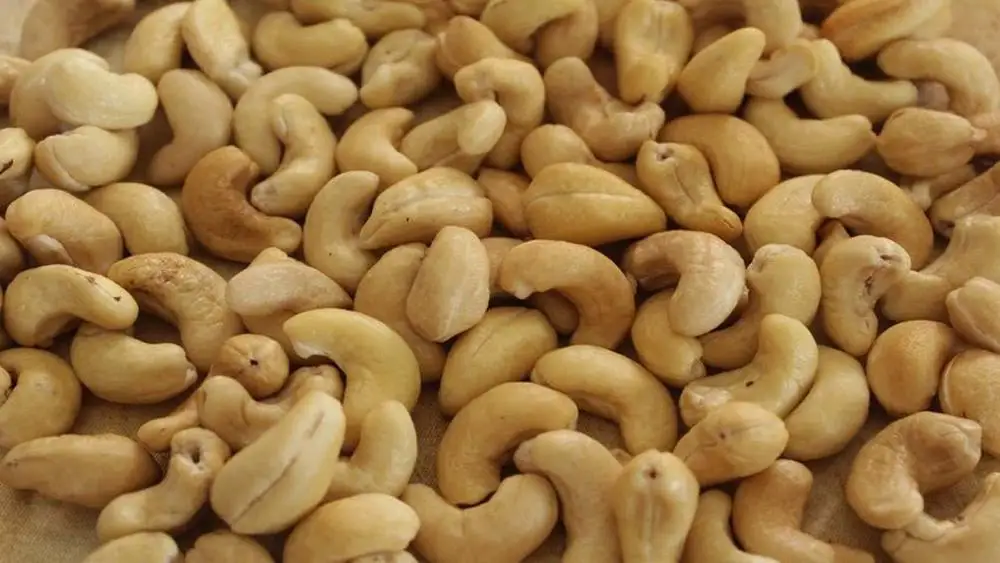 Wholesale Roasted Cashew Nuts with Salt Cashew Nuts W320 W180 W450 W240 from Cashew Kernel Vietnam