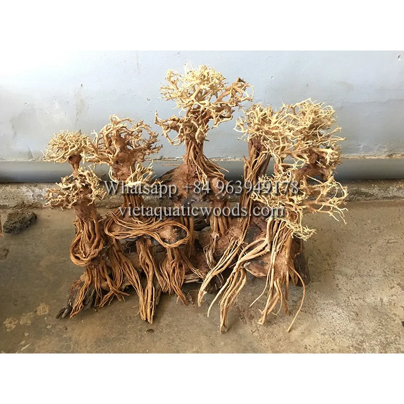 Лучшие товары бонсай коряги оптом для украшения аквариума Betta WhatsApp 84 961005832