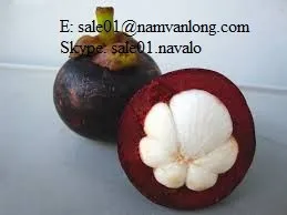  Новое поступление экстракта натурального мангостина/свежий мангостин в полиэтиленовом пакете/вьетнамский
