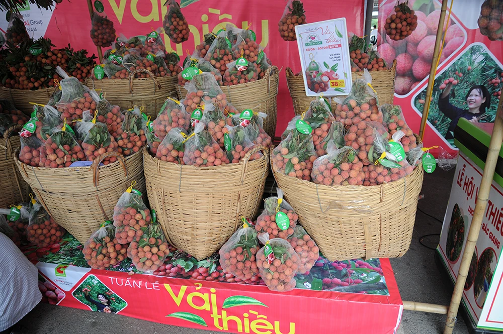  Оптовая продажа специальная кухня Органическая личи класса А очень мягкая сладкая из Вьетнама