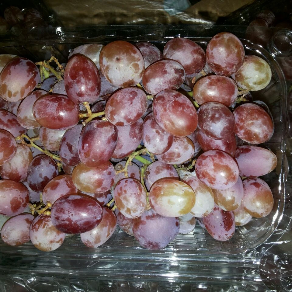 MULTI VITAMINS GRAPES