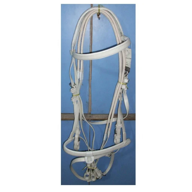 HORSE REIN & BRIDLE.