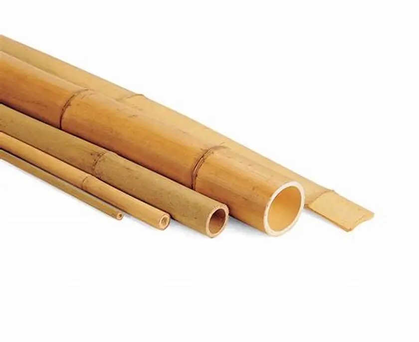 Agriculture Bamboo Sticks Raw Bamboo Poles for Nursery Planting 99GD