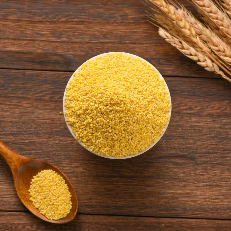 Protein-Rich Organic Foxtail Millet Gluten-free Grain Yellow Millet