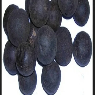 Свежий черный лимон фрукт