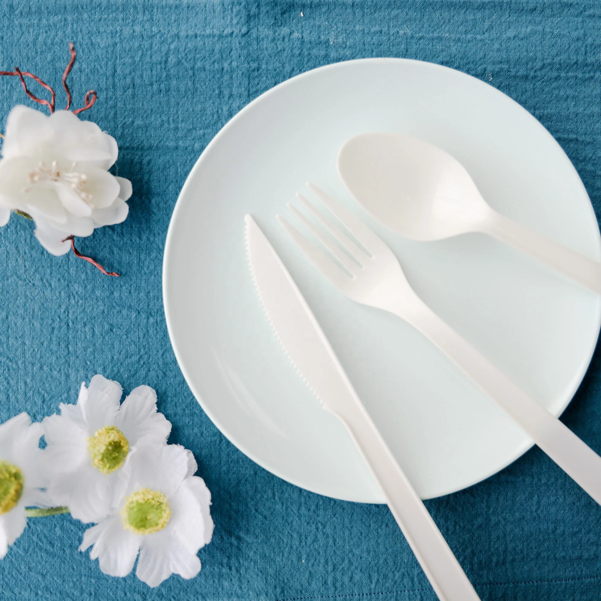 BPI Certification Made In Taiwan 16.5cm Biodegradable Corn Starch PLA Spoon