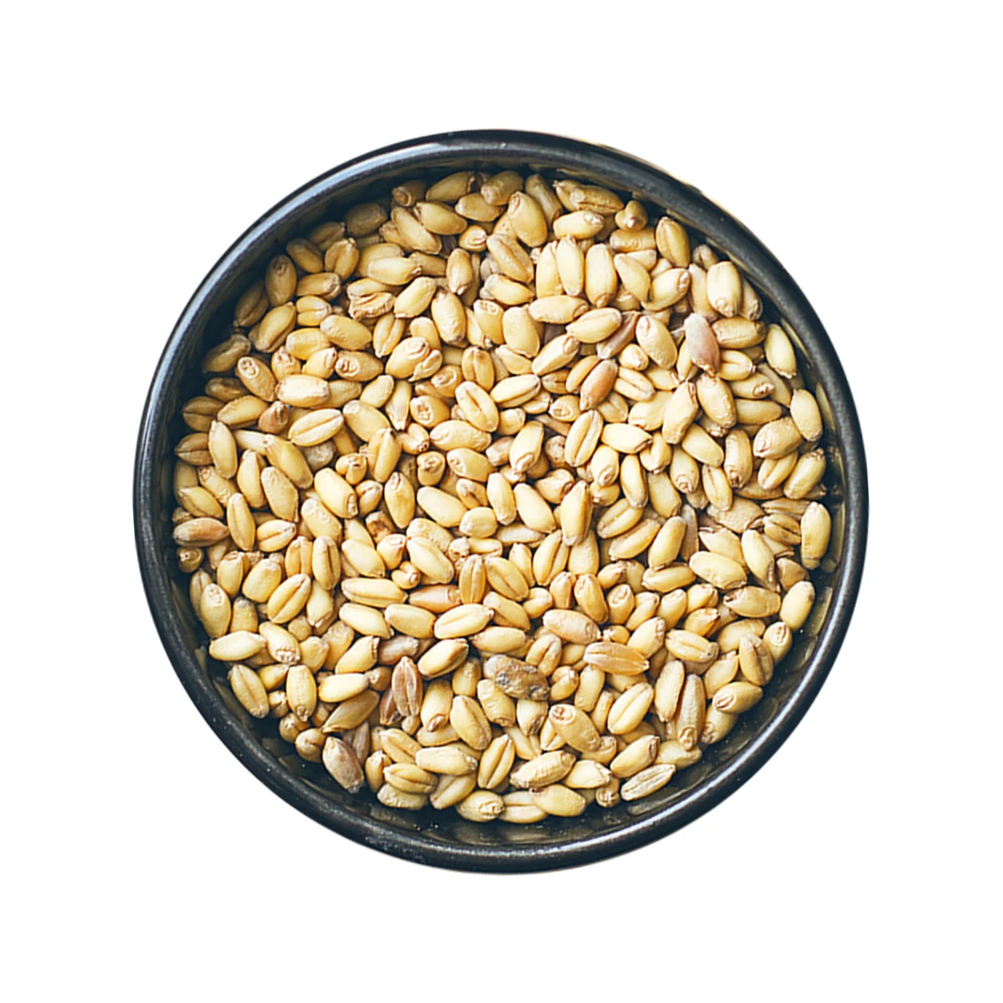 Triple-cleaned Non-GMO Wheat grains seeds healthy food wholesale natural bulk non-GMO organic cereal grains