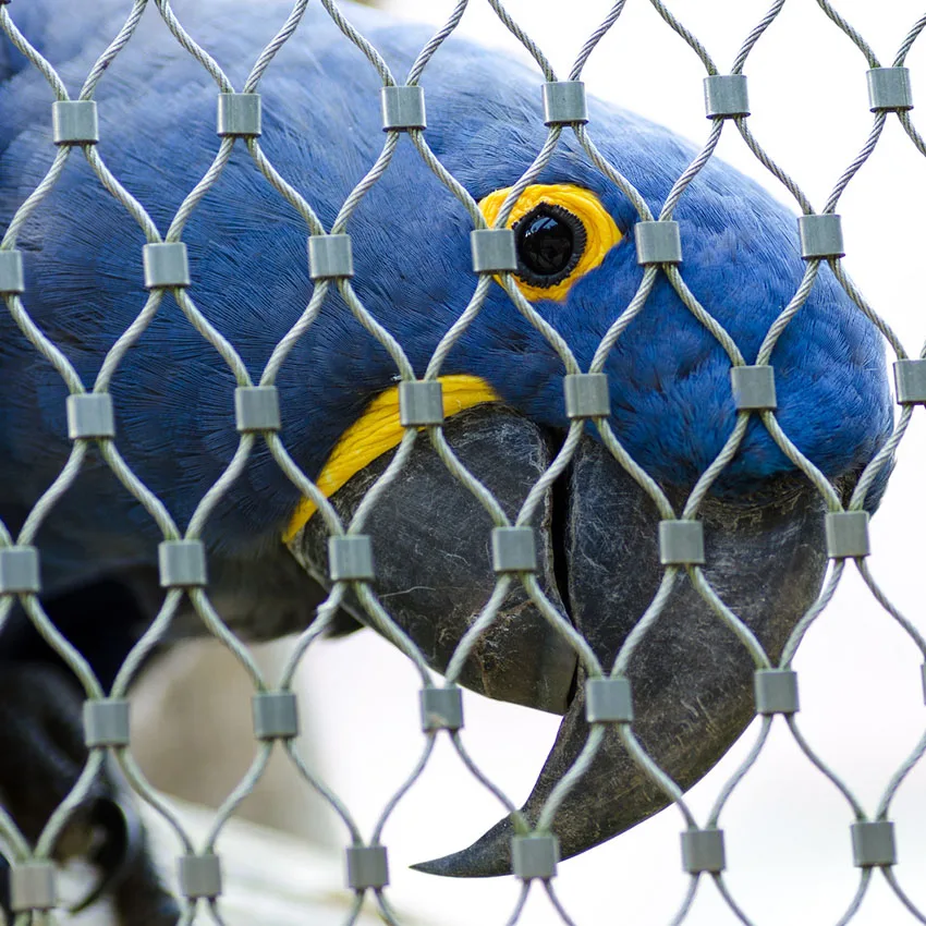 Ferruled Type Flexible Stainless Steel Wire Rope Bird Aviary Mesh Fencing Panels For Zoo Netting
