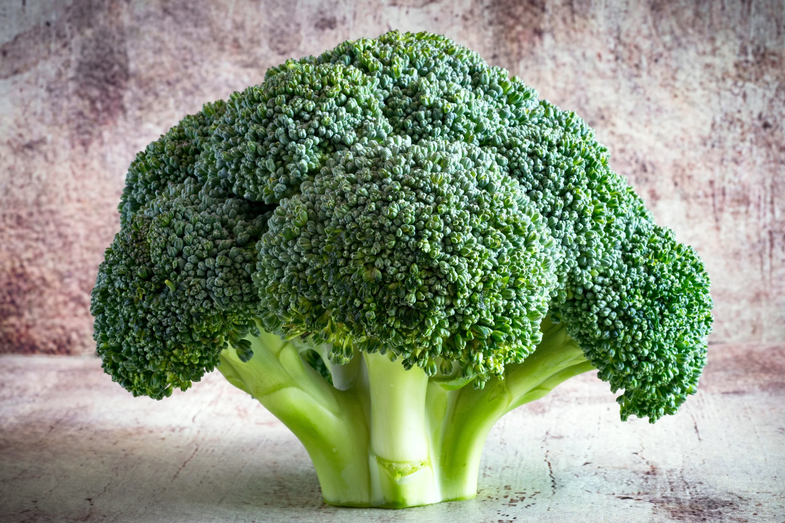 Wholesale High Quality Fresh Broccoli Vegetable Origin Turkey Fresh Broccoli