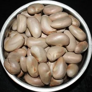 Cheap Price Wholesale Dried Jackfruit Seed For Sale In bulk