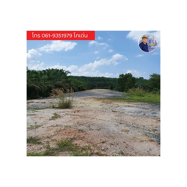 Land для продажи, район Вайн Са, сурат Тани, Таиланд